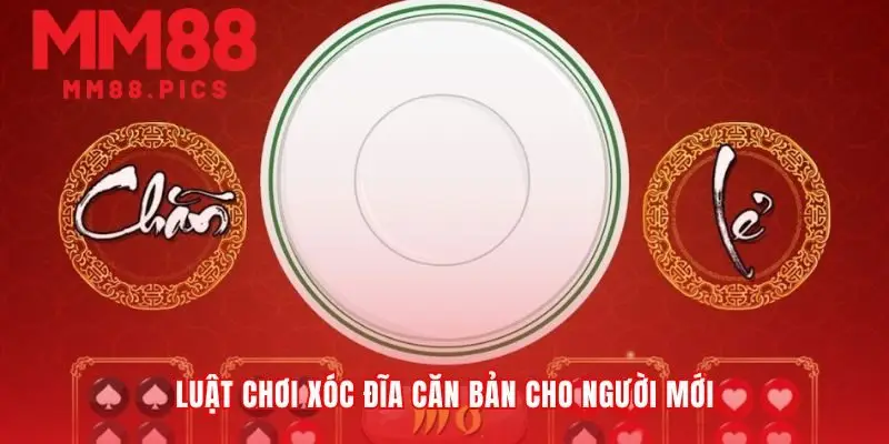 Xây dựng nền tảng vững chắc cho mọi ván cược